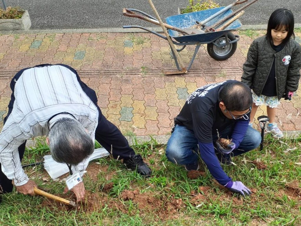 2023/12/16 糸満市立中央図書館にて「ゆり球根植付」