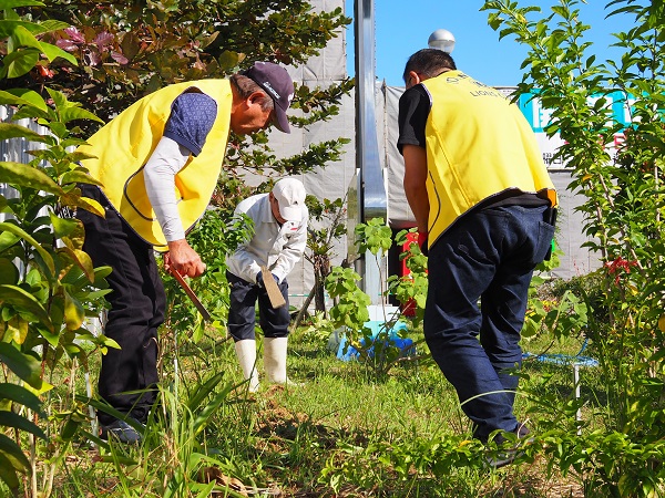 糸満白銀ライオンズクラブ-糸満市立中央図書館にて「ゆり球根植付」2025年11月30日(日)