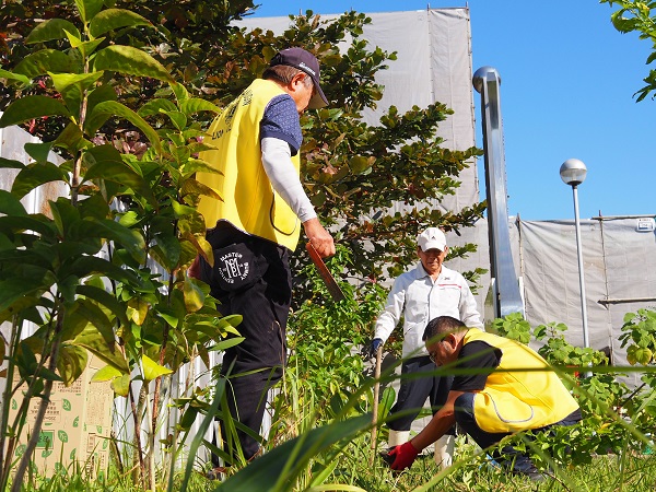 糸満白銀ライオンズクラブ-糸満市立中央図書館にて「ゆり球根植付」2025年11月30日(日)